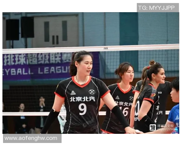 杭州排球队的节奏探秘与发展之路解析